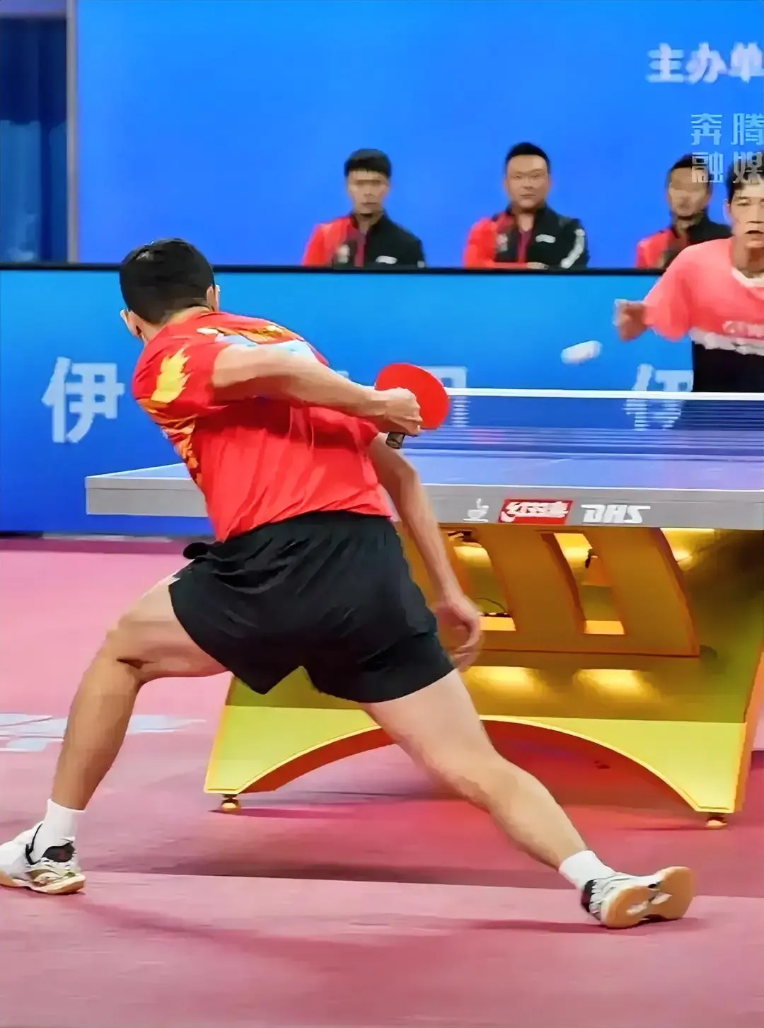 包含奥地利乒乓球队轻取韩国乒乓球队，许昕制霸全场的词条