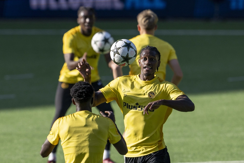 斯图加特年轻球员崭露头角，助球队逆袭夺分的简单介绍