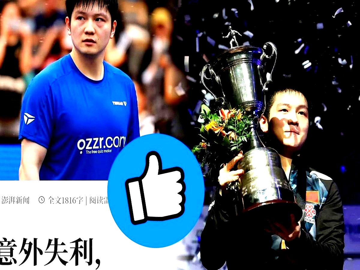 韩国乒乓球队翻盘德国乒乓球队，樊振东爆发神勇的简单介绍