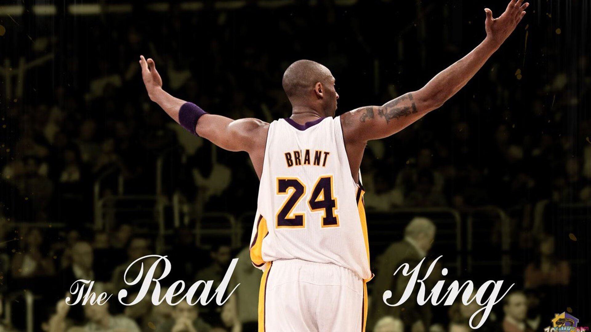 武切维奇点燃赛场，篮网客场力克深圳，展现国际篮球交流新篇章