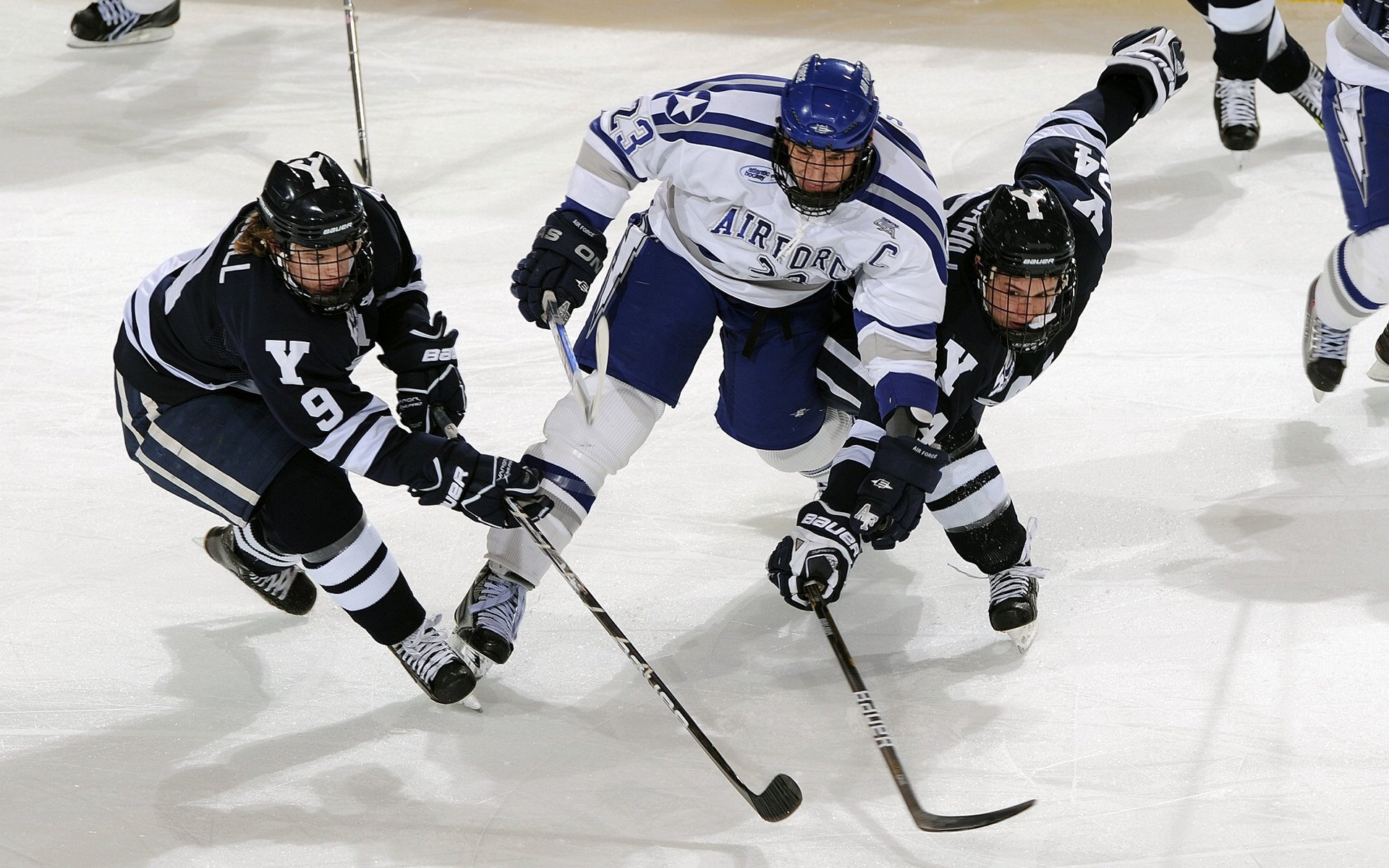 世界排名争夺战焦点战,上海队正面击溃黄蜂