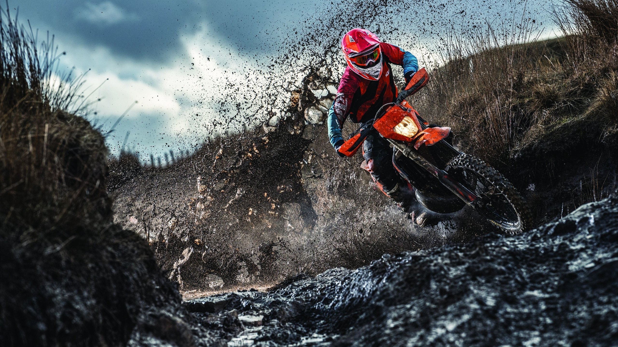 年度焦点之战之夜,爱德华兹赛后评分拉满,新一代巨星诞生